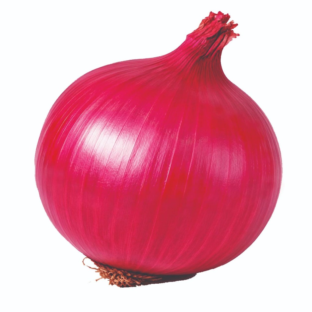 Deep red Rudramani onion bulb